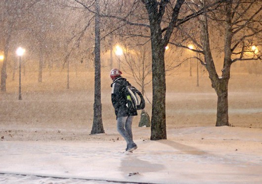A person crosses the Oval in the snow Feb. 4. Credit: Shelby Lum / Photo editor
