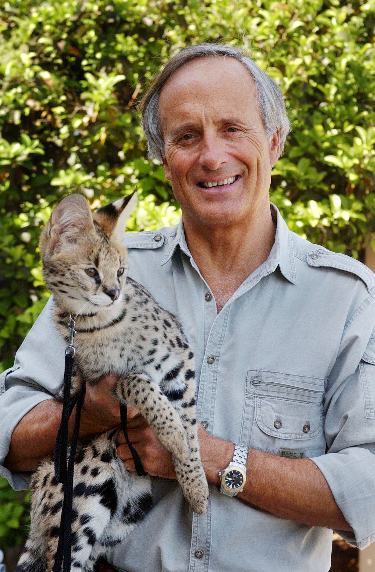 Jack Hanna, director emeritus of the Columbus Zoo and Aquarium, holds a serval cat. Credit: Courtesy of MCT