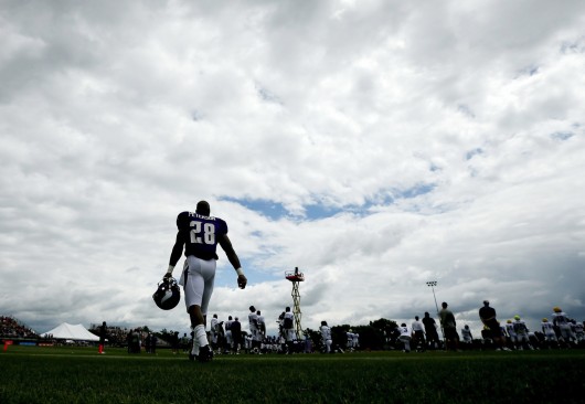 Adrian Peterson of the Minnesota Vikings walks on the field on a rainy day during the team's training camp on July 27 at Minnesota State University in Mankato, Minn.  Credit: Courtesy of MCT