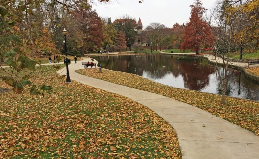 Mirror Lake on Nov. 14. Credit: Logan Hickman / Campus editor