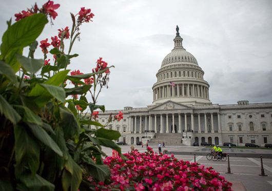 Action items such as Pell Grant award amounts and the Affordable Care Act were included on the House of Representatives Fiscal year 2016 budget, which was released last week and passed through the House on Wednesday. Credit: Courtesy of TNS